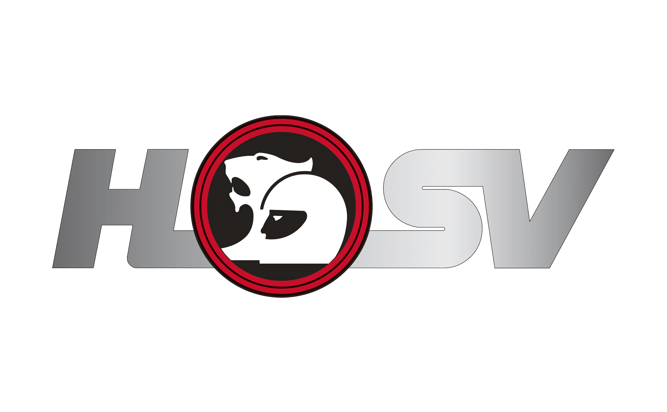 HSV VE Seat Covers