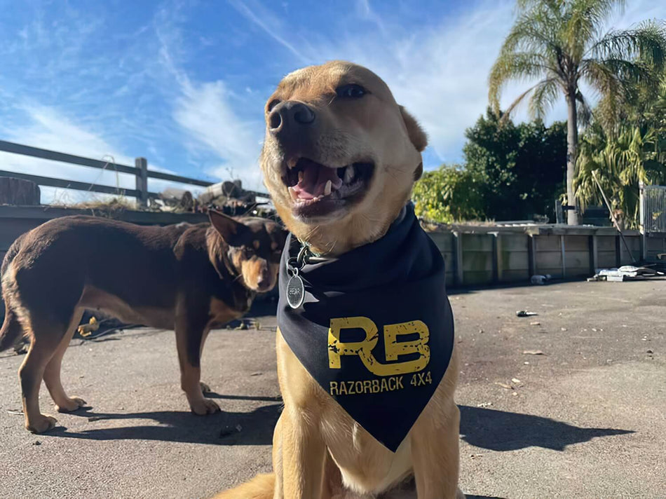 Pet Bandana-Razorback 4x4