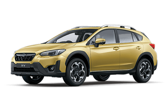 XV