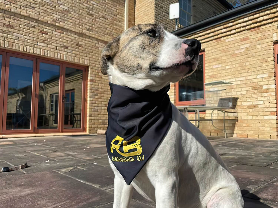 Pet Bandana (In Stock)